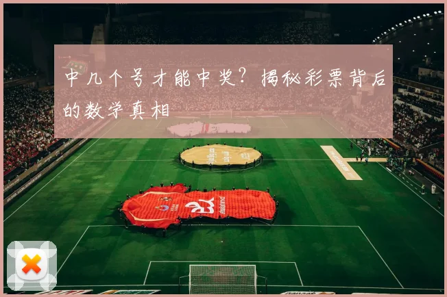 中几个号才能中奖?揭秘彩票背后的数学真相